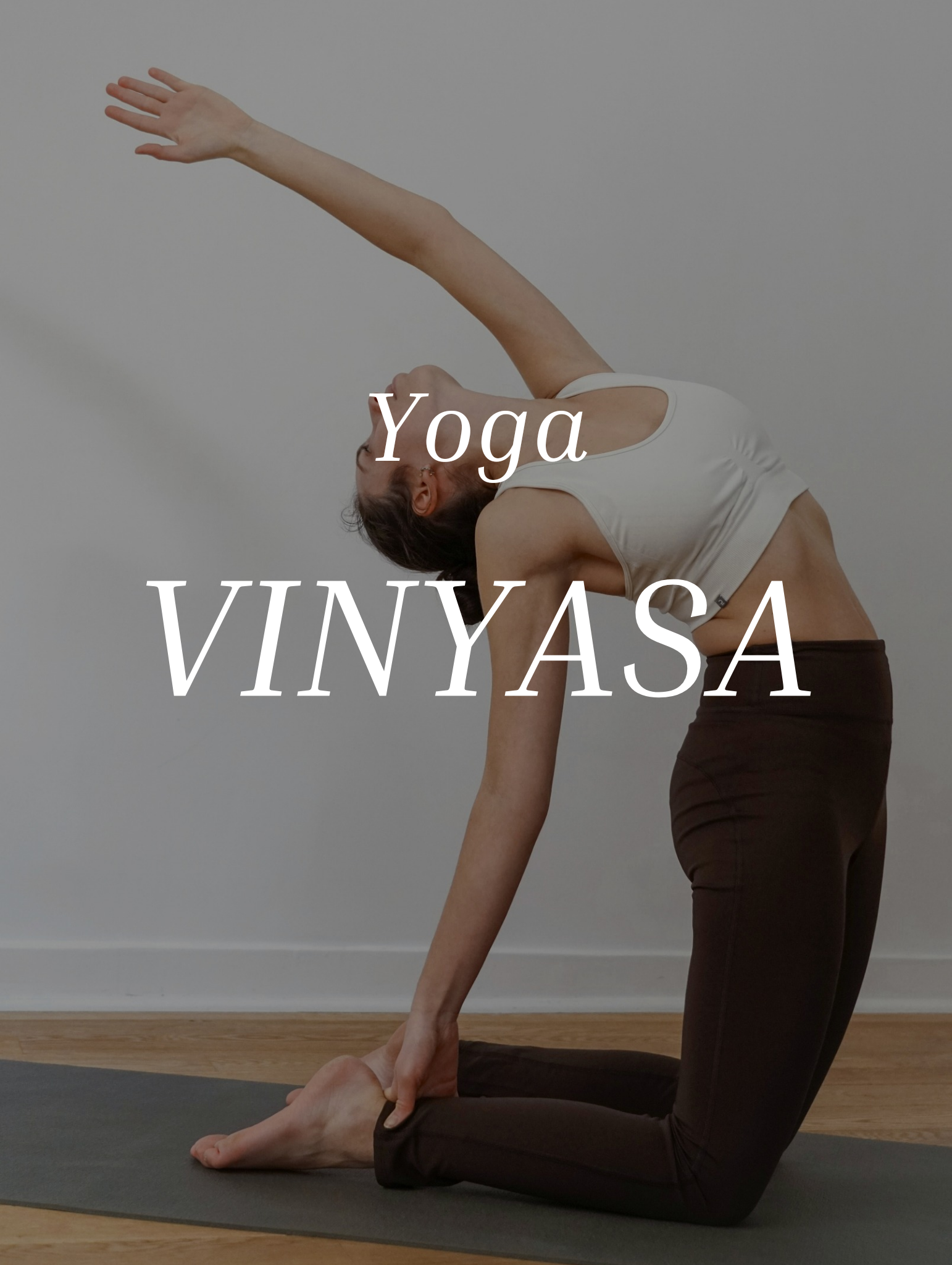 Vinyasa Png